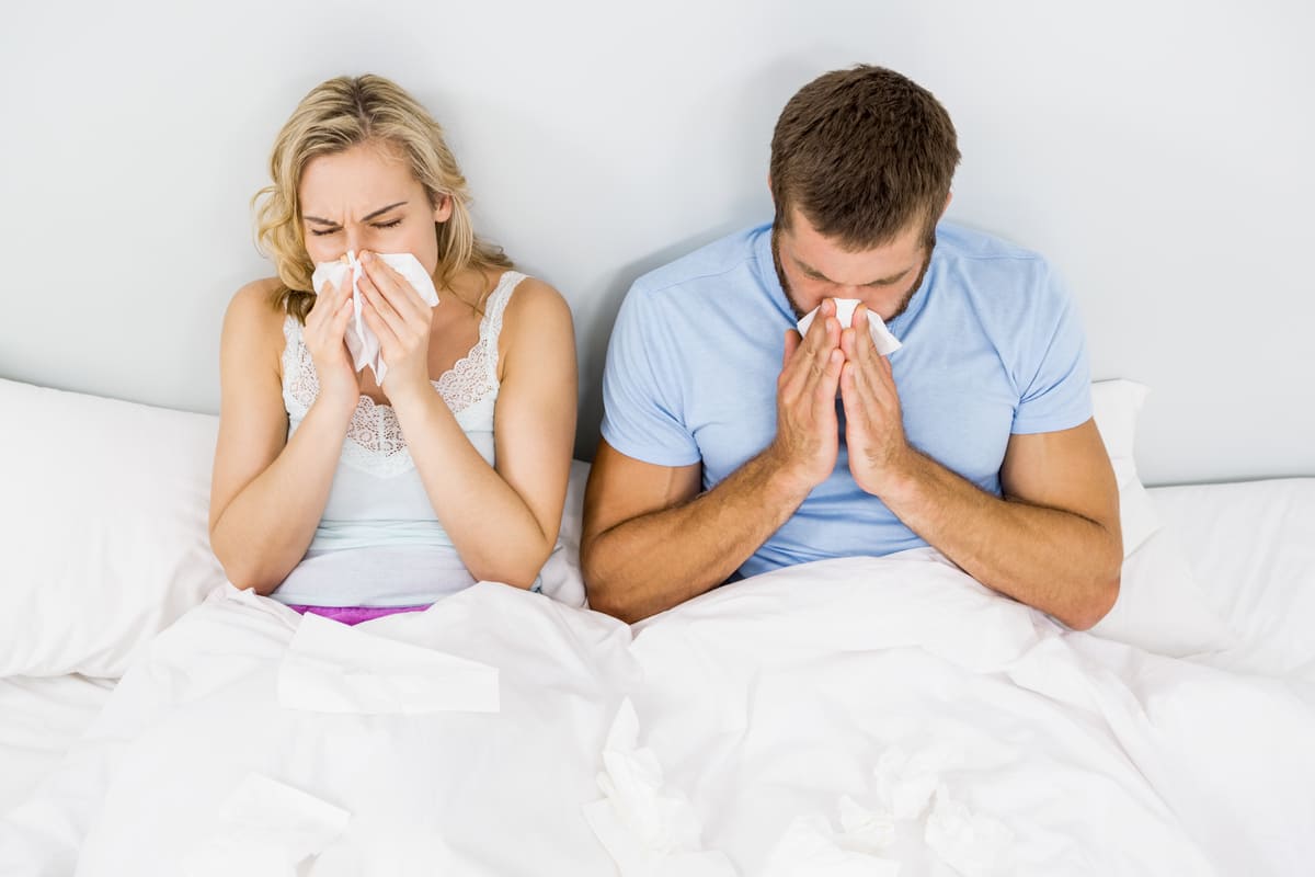 allergènes du sommeil