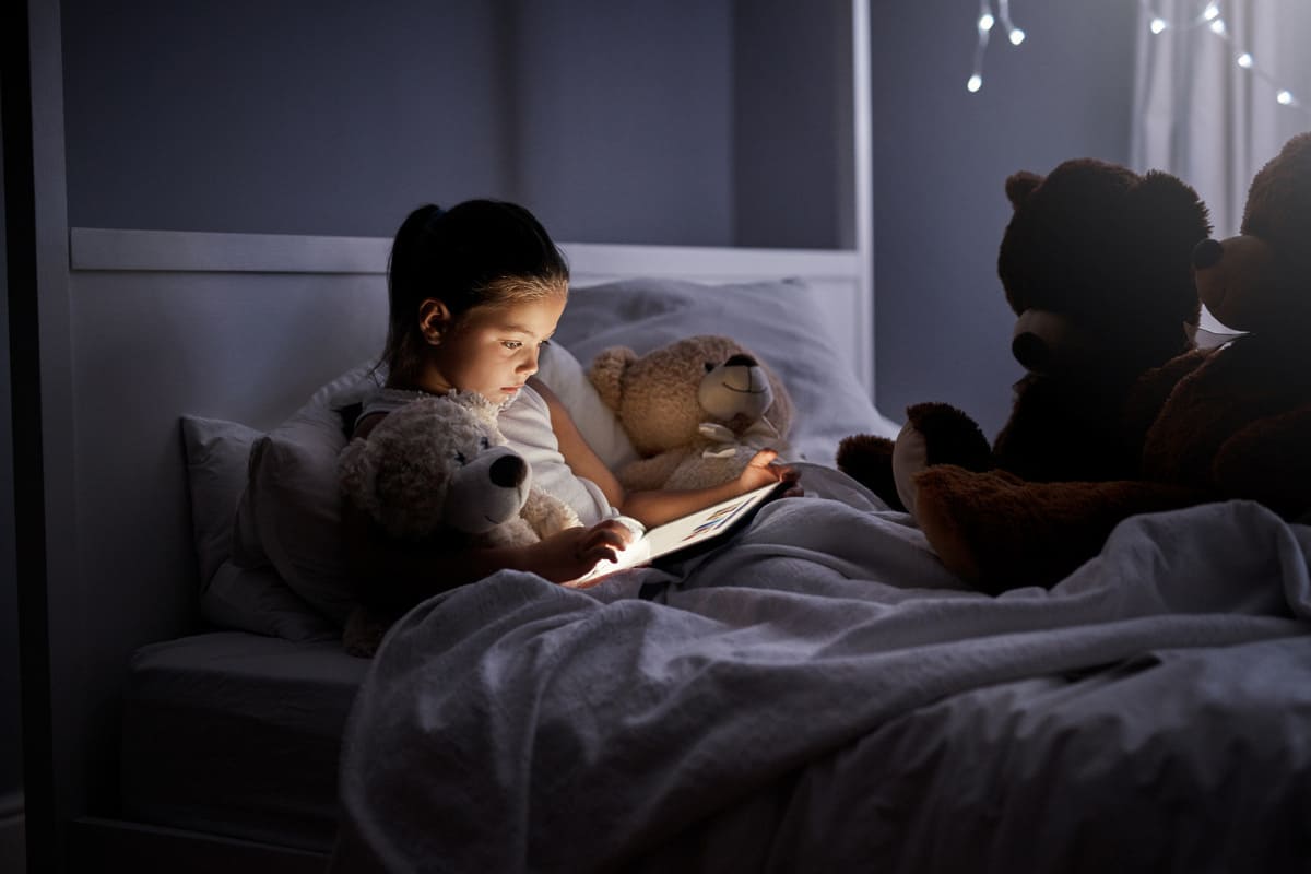 curiosités nocturnes