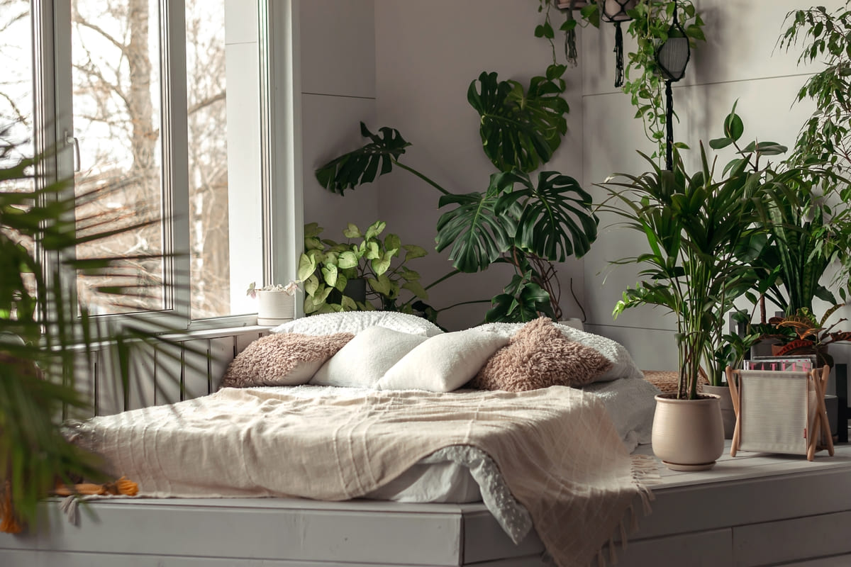 10 plantes pour votre chambre