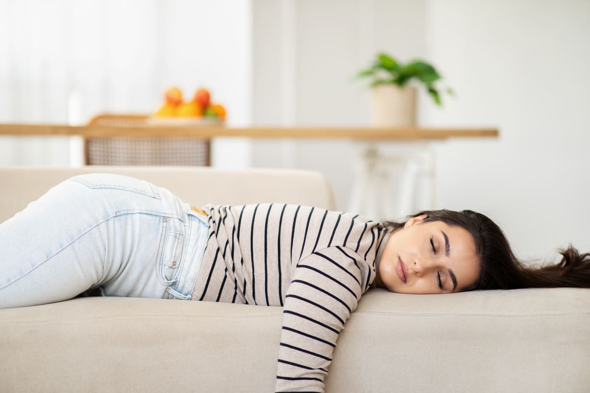 sommeil monophasique biphasique polyphasique